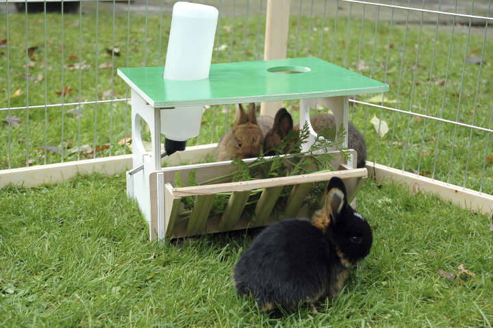 dobar Futterbar-Set Hopsi für Nager